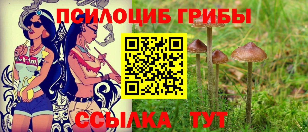 Долгопрудный  Псилоцибиновые грибы GOLDEN TEACHER  Вход с VPN 